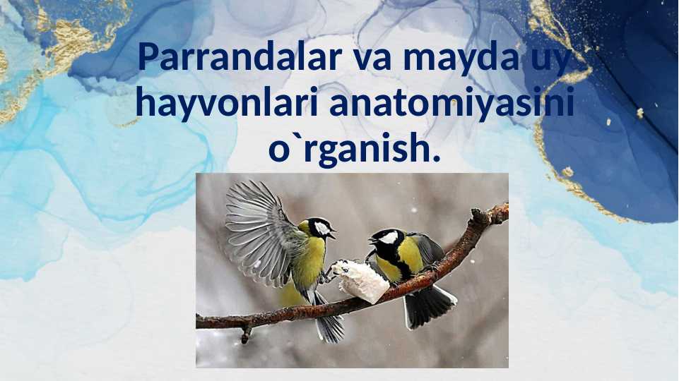 Parrandalar va mayda uy hayvonlari anatomiyasini o`rganish