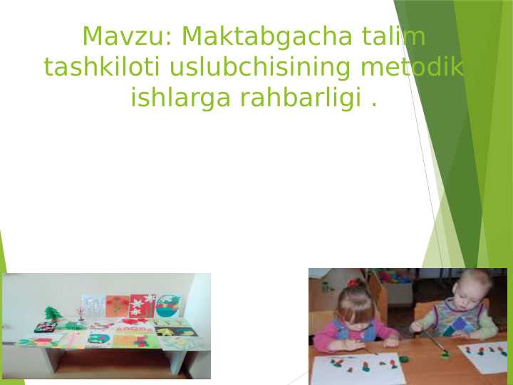 Maktabgacha taʼlim tashkiloti uslubchisi rahbari
