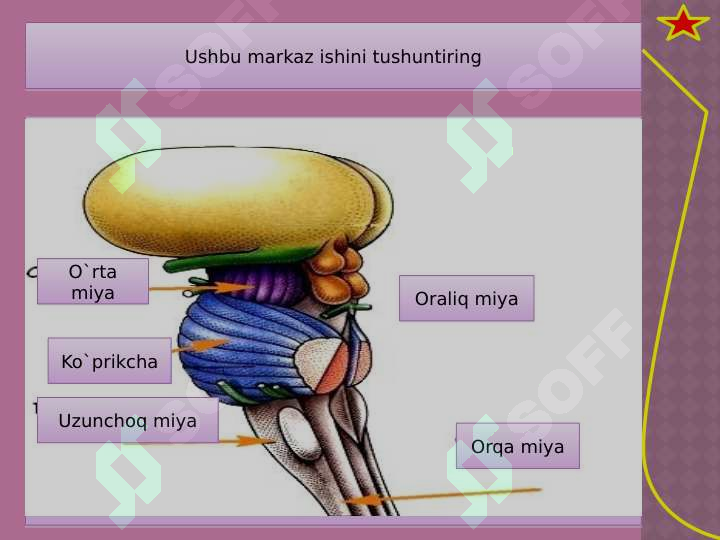 sellerImage
