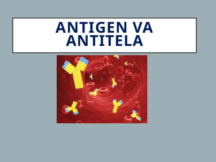 Antigen va Antitela