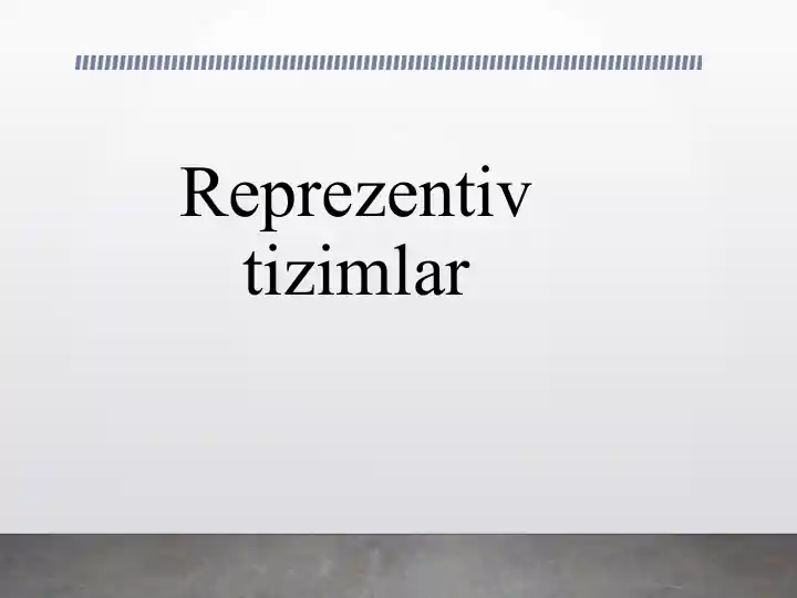 Reprezentiv tizimlar