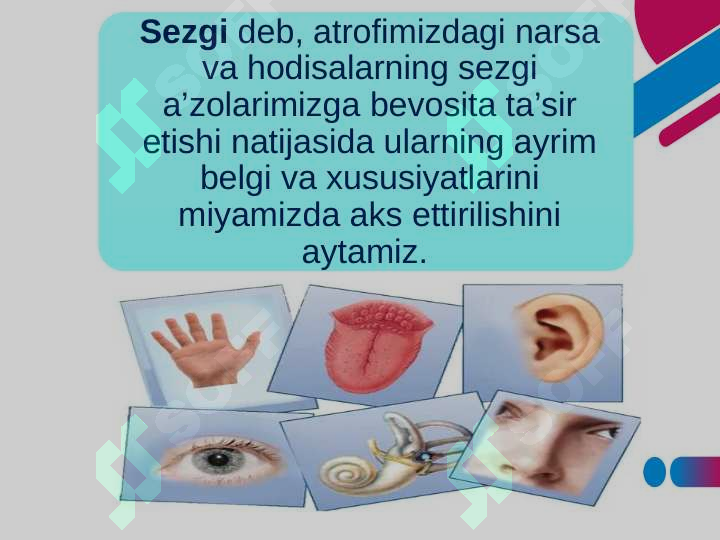 sellerImage