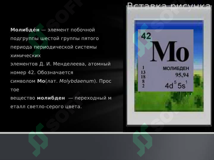 sellerImage