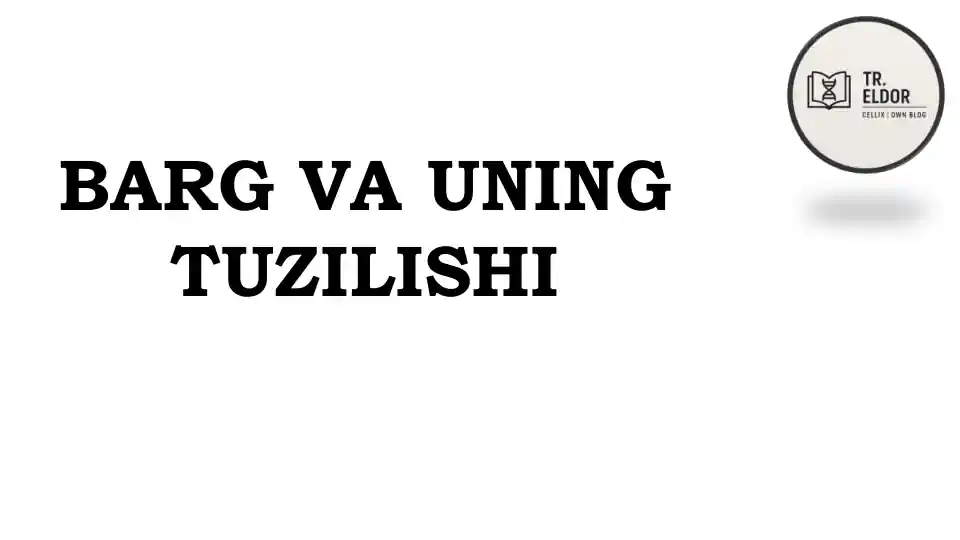 BARG VA UNING TUZILISHI