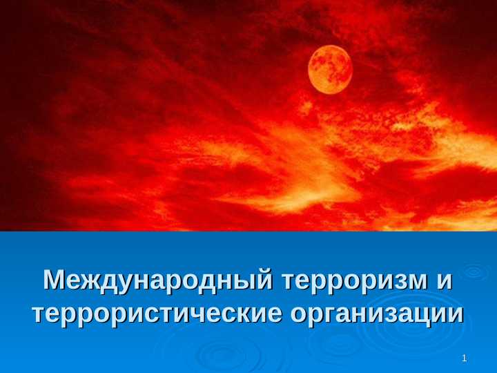 Международный терроризм и террористические организации