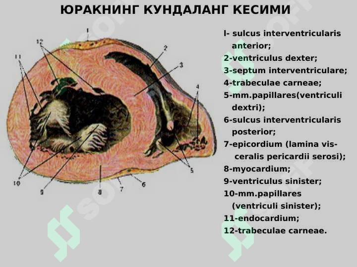 sellerImage