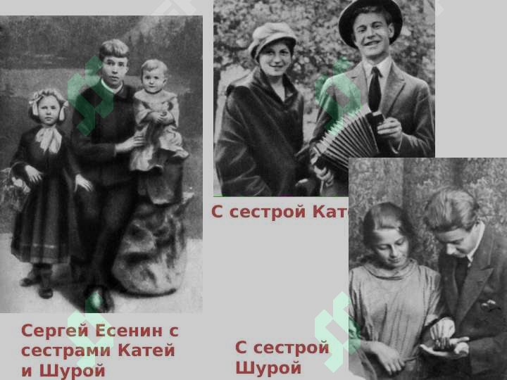 sellerImage