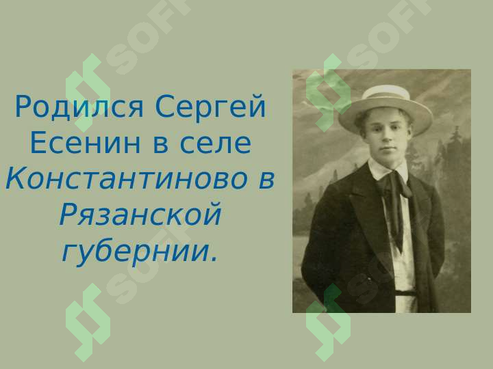 sellerImage