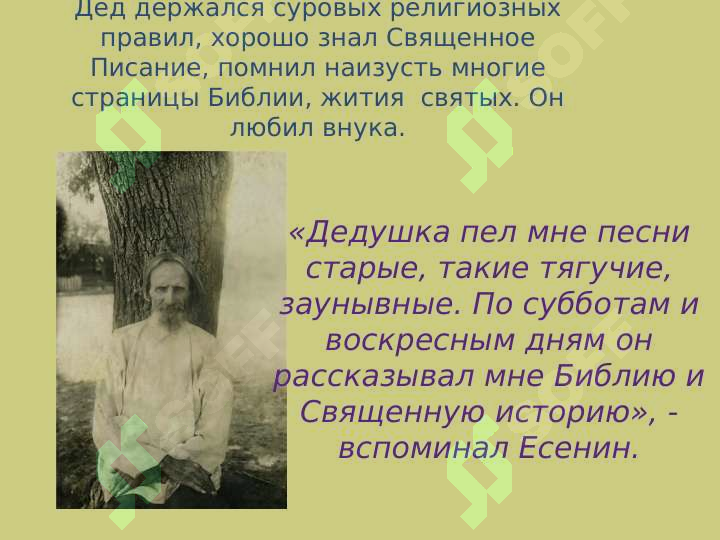 sellerImage