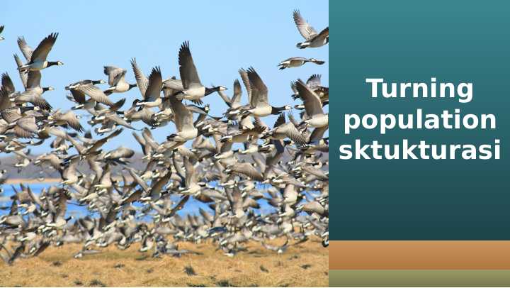 Turning population sktukturasi