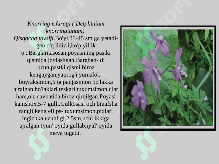sellerImage