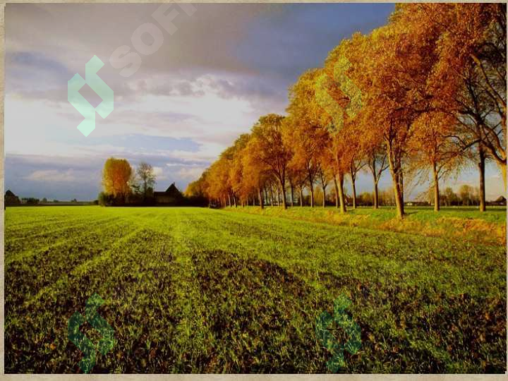 sellerImage