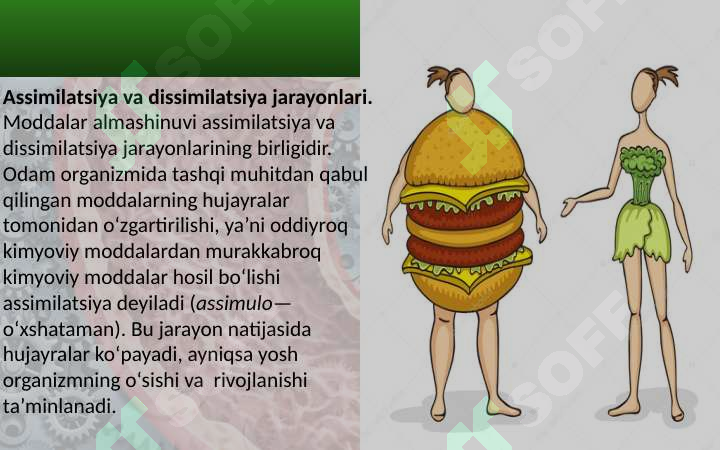 sellerImage