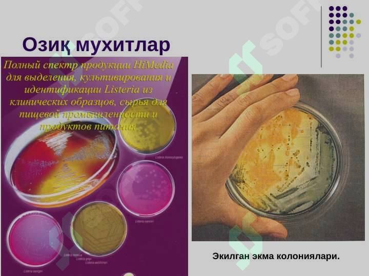 sellerImage