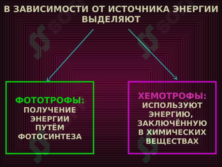 sellerImage