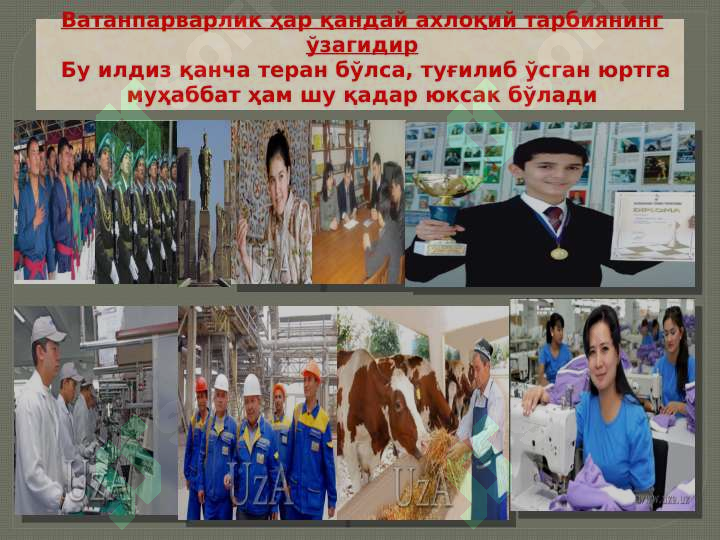 sellerImage