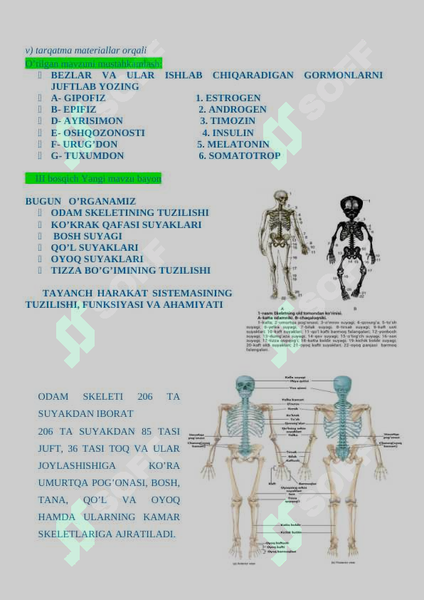 sellerImage