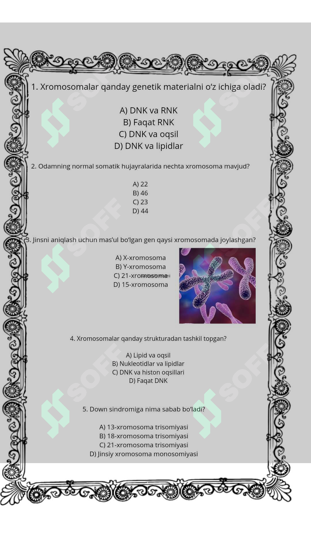 sellerImage