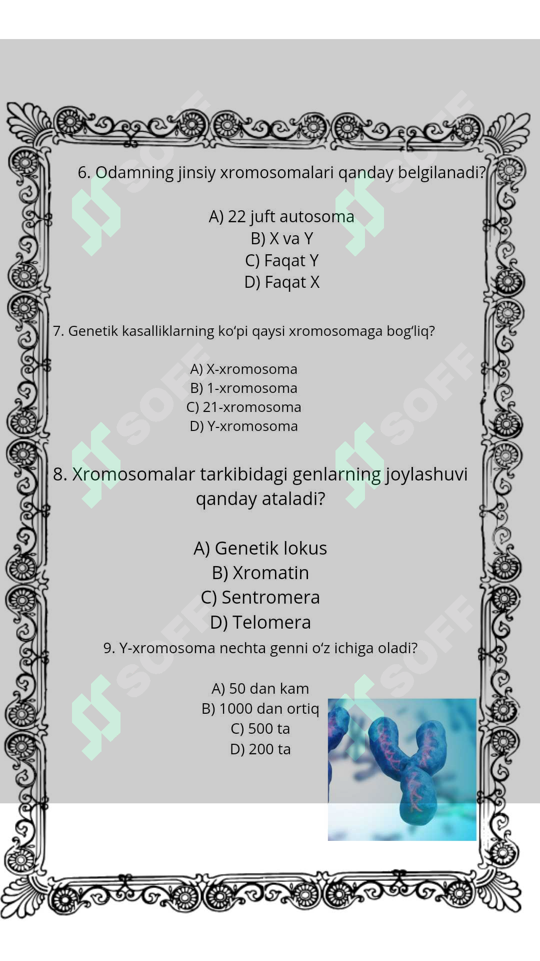 sellerImage