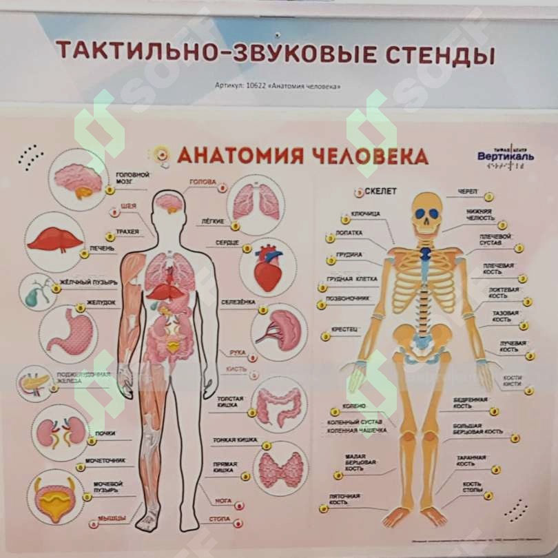 sellerImage