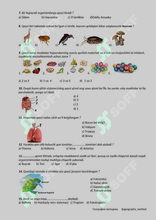 sellerImage