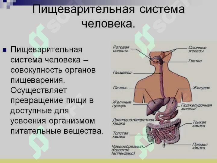 sellerImage