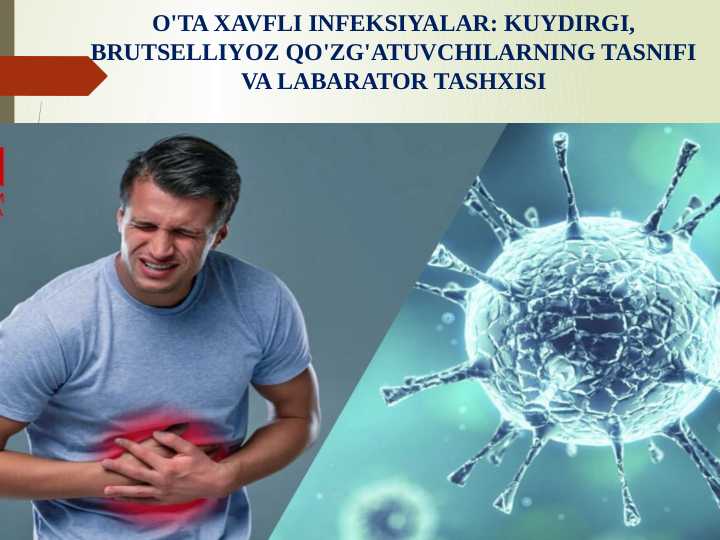 O'TA XAVFLI INFEKSIYALAR: KUYDIRGI, BRUTSELLIYOZ QO'ZG'ATUVCHILARNING TASNIFI VA LABARATOR TASHXISI