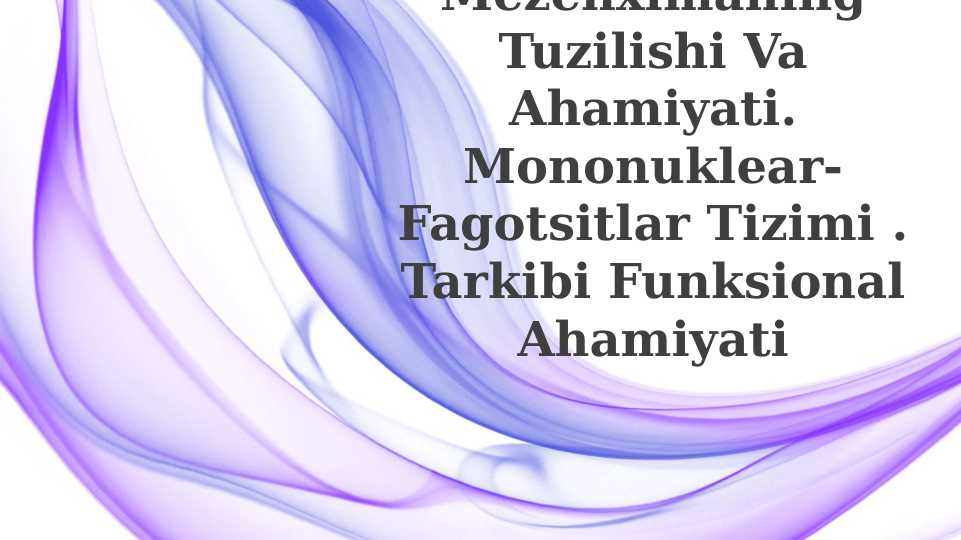 Mezenximaning tuzilishi va ahamiyati. Mononuklear-fagotsitlar tizimi . Tarkibi funksional ahamiyati