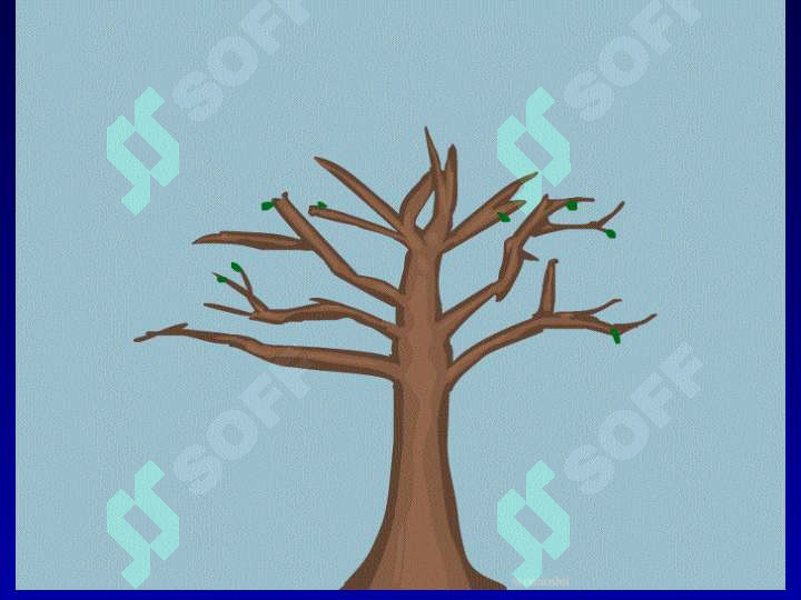 sellerImage