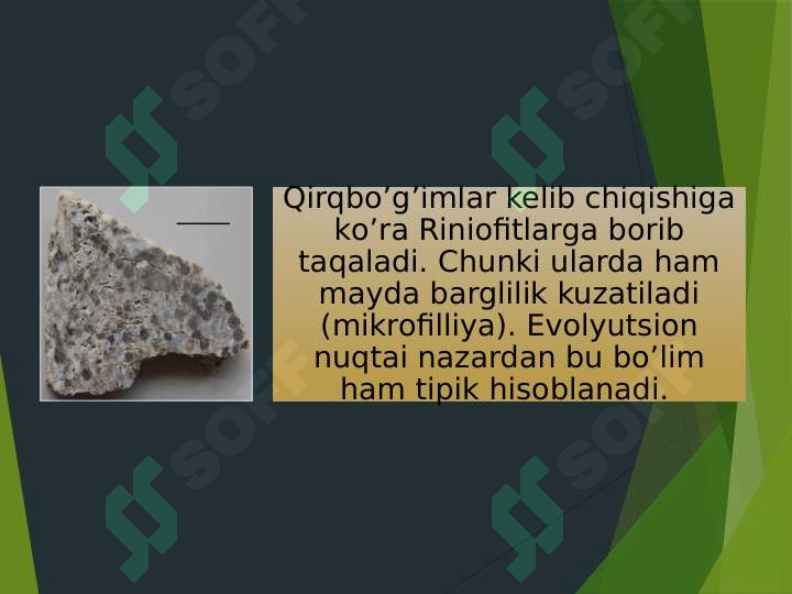 sellerImage