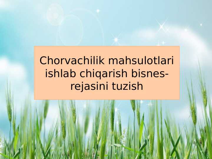 Chorvachilik mahsulotlari ishlab chiqarish bisnes-rejasini tuzish