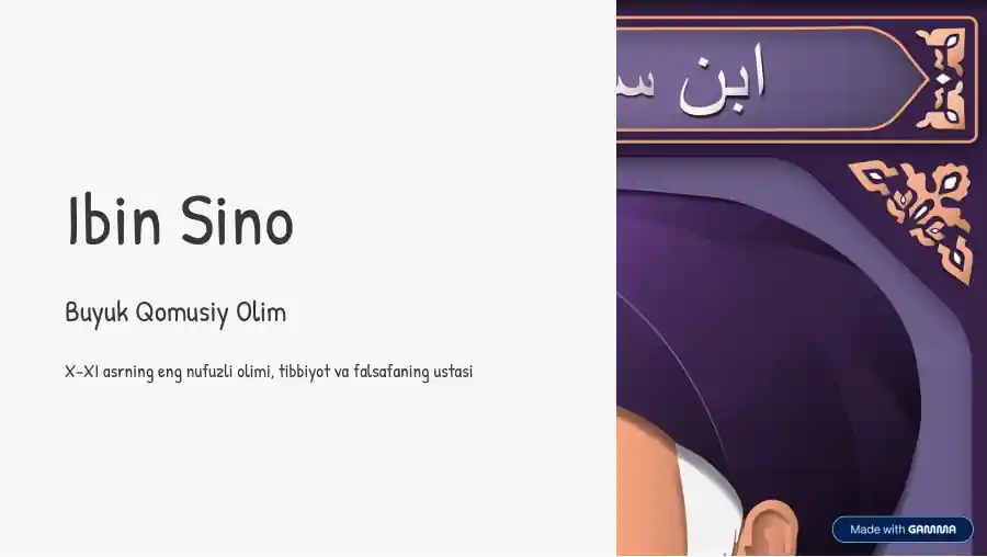 Ibin sino hayoti va ijodi