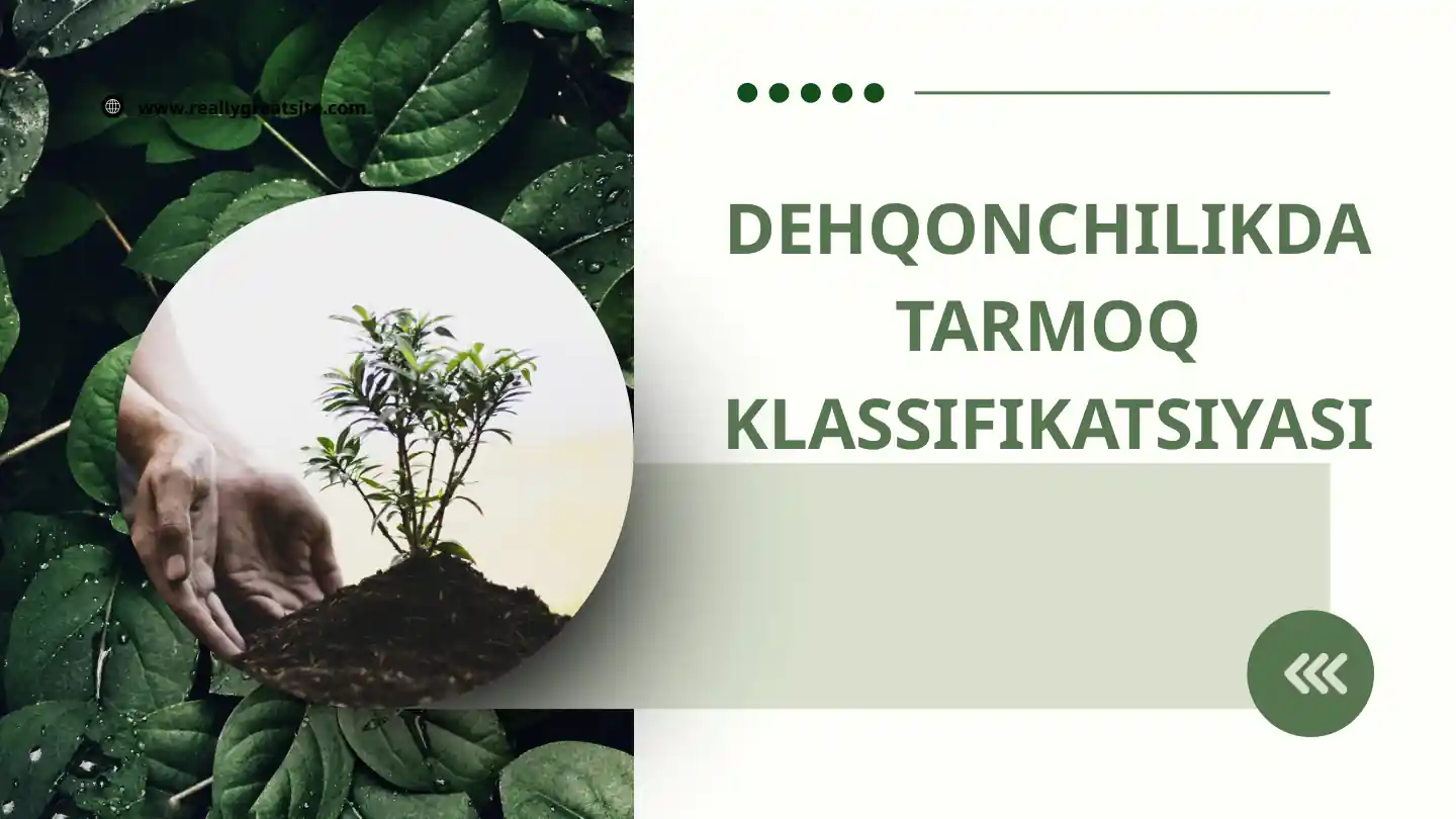 DEHQONCHILIKDA TARMOQ KLASSIFIKATSIYASI
