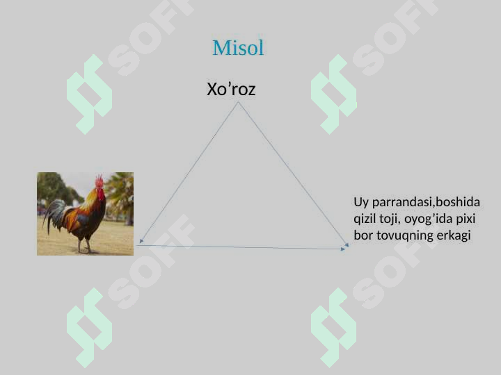 sellerImage
