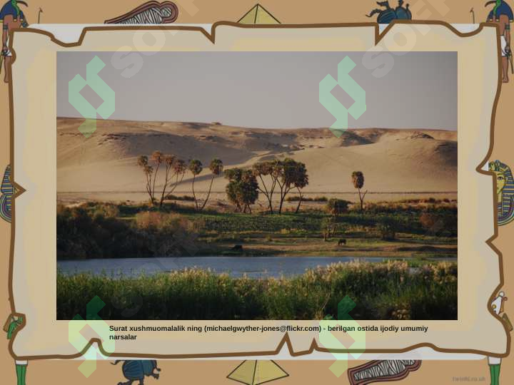 sellerImage