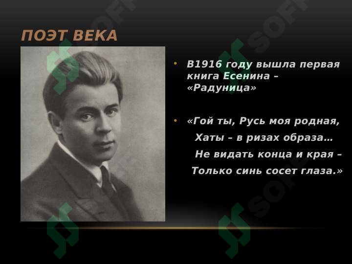 sellerImage