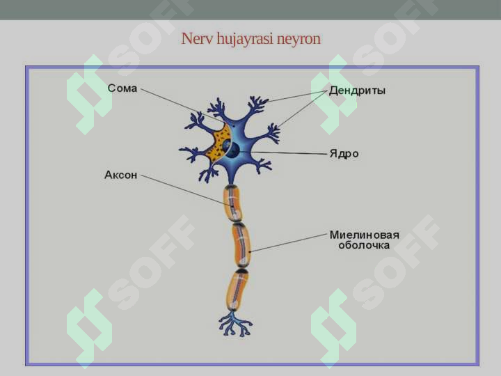 sellerImage