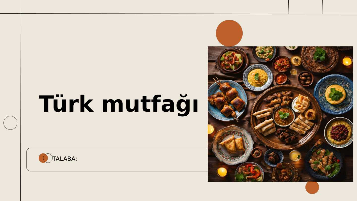 Türk mutfağı.