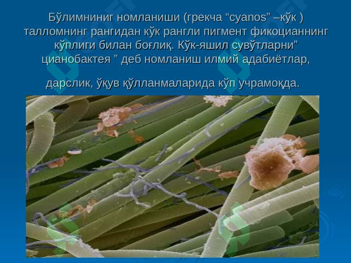 sellerImage