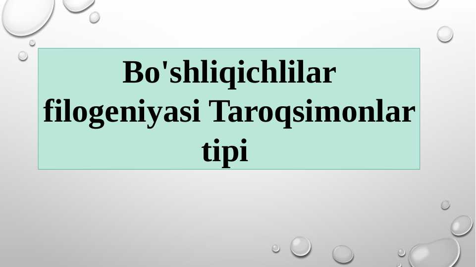 Bo'shliqichlilar filogeniyasi Taroqsimonlar tipi