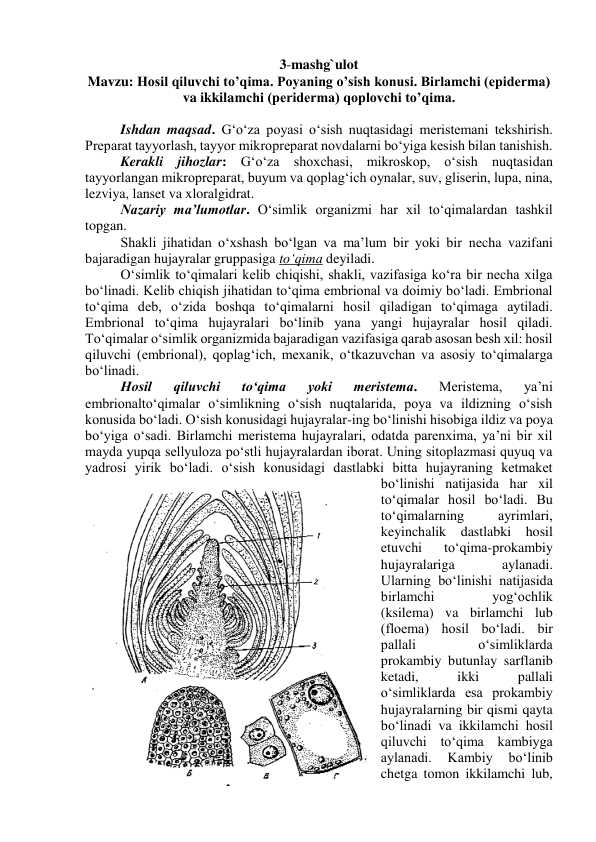 Hosil qiluvchi to’qima. Poyaning o’sish konusi. Birlamchi (epiderma) va ikkilamchi (periderma) qoplovchi to’qima.