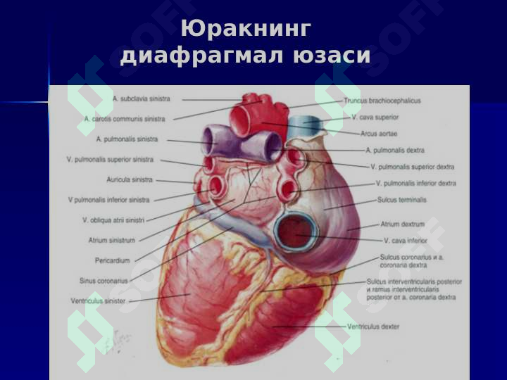 sellerImage