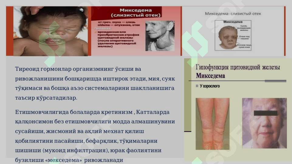 sellerImage