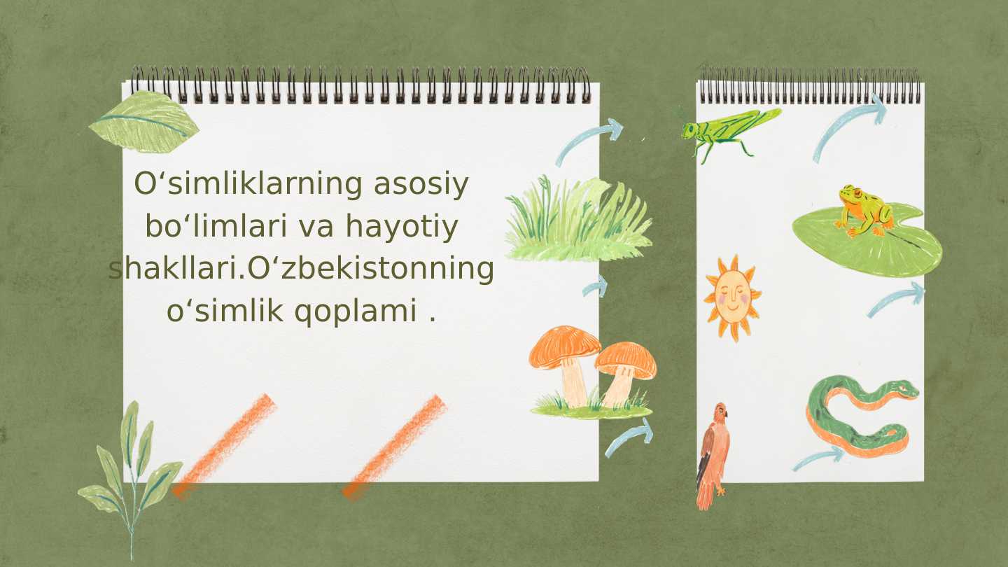 Oʻsimliklarning asosiy boʻlimlari va hayotiy shakllari.Oʻzbekistonning oʻsimlik qoplami