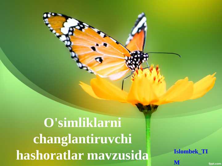 O'simliklarni changlantiruvchi hashoratlar