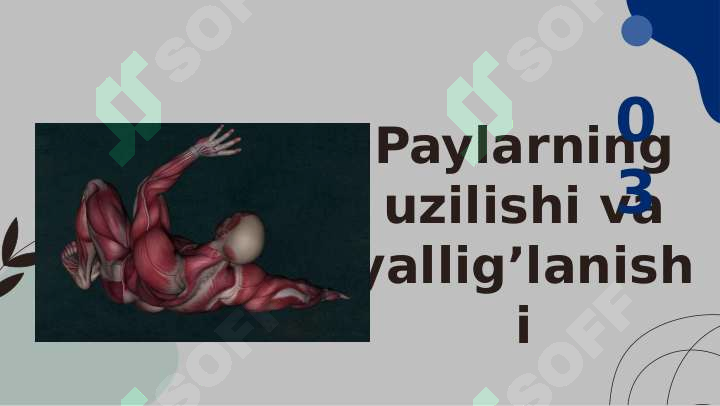 Qo'l va oyoq barmoqlarining paylari shikastlanishi