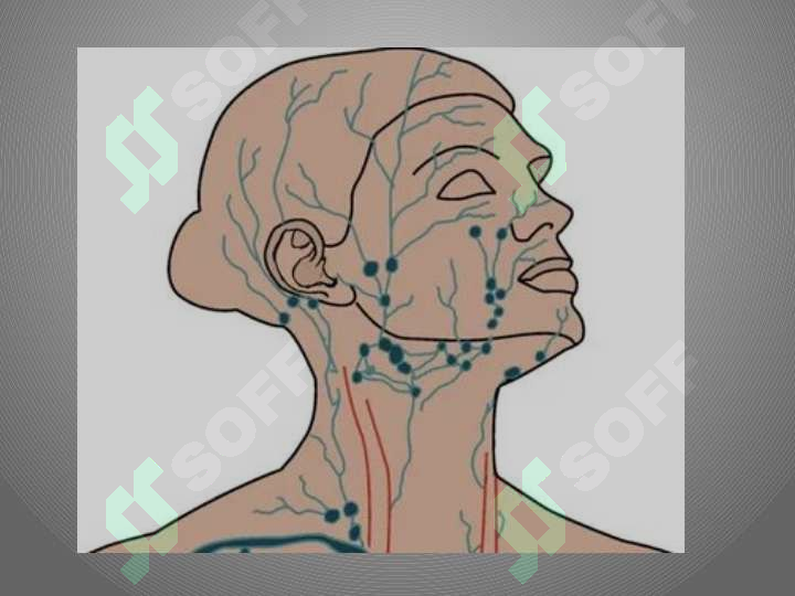 sellerImage