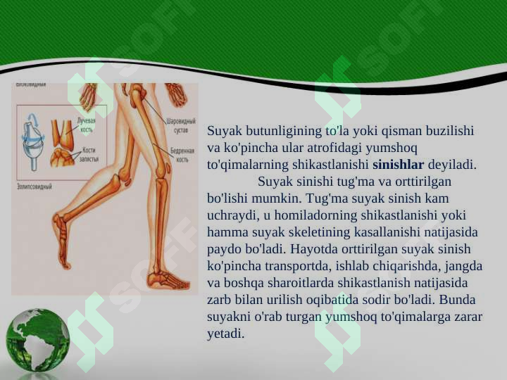 Suyak singanida birinchi yordam ko’rsatish