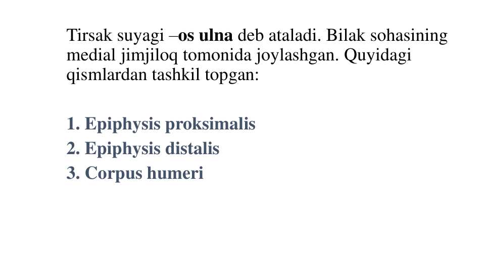 Tirsak suyagi –os ulna