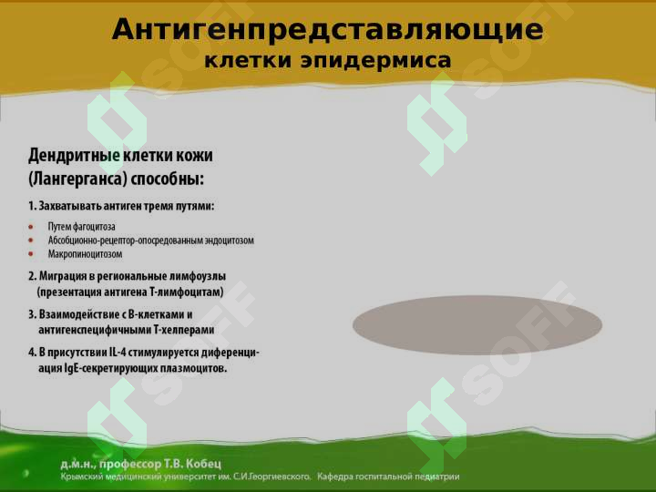sellerImage